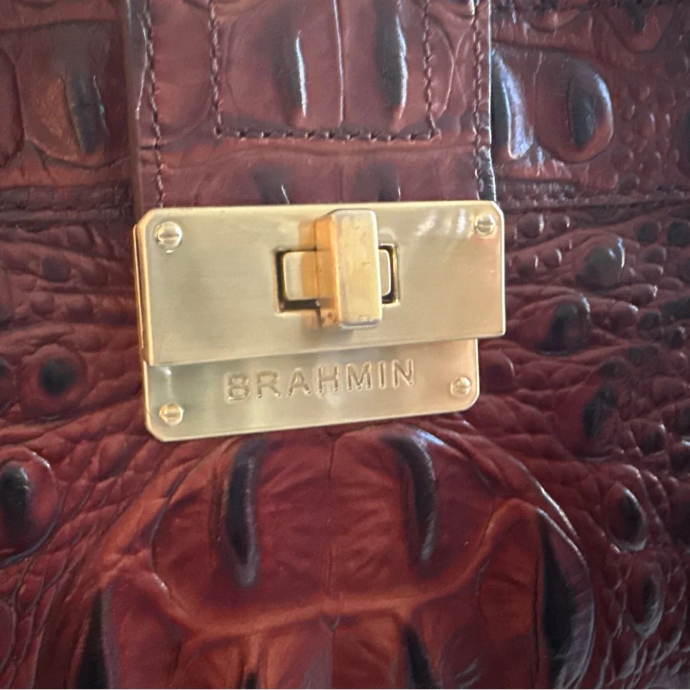 NEW! Brahmin Crossbody Bag in Mojito Pecan Melbourne - Picture 4 of 9